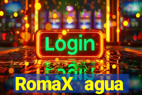 RomaX agua sanitaria fispq agua sanitaria romax